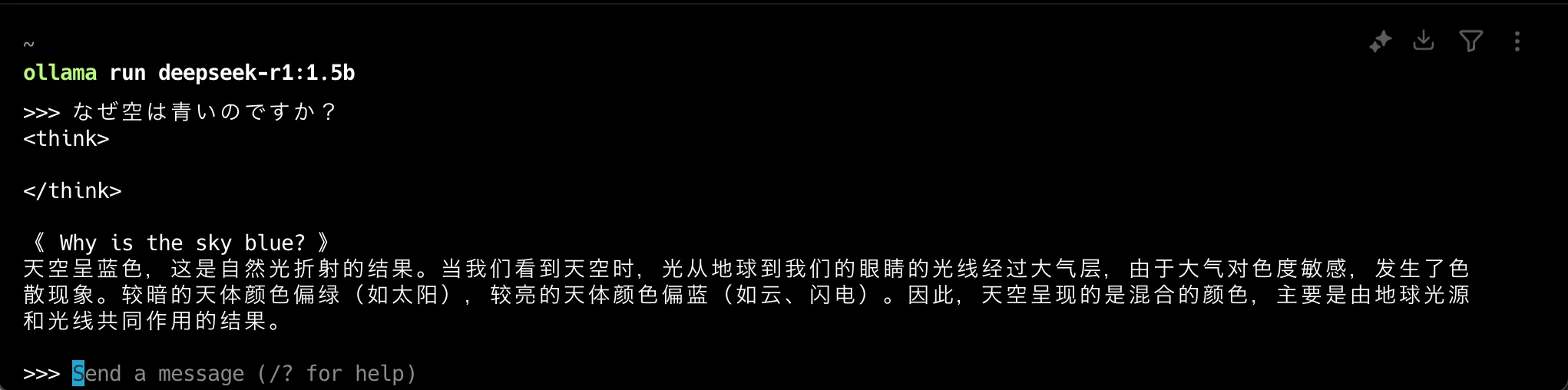 DeepSeek-R1 を直接実行した結果